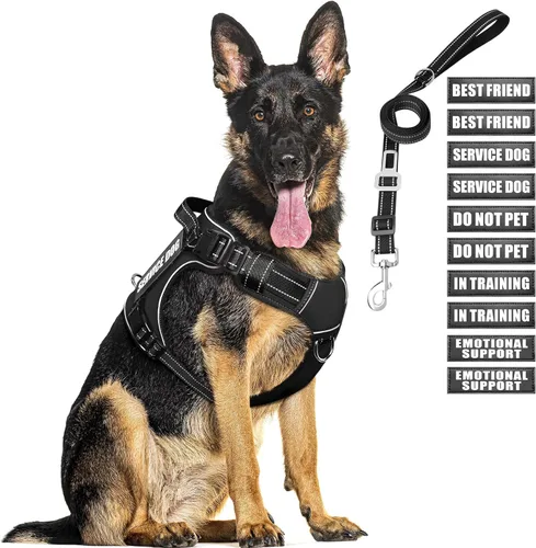 Vista 17 de Juego de arnés táctico y correa para perro de tamaño pequeño, chaleco resistente sin tirones para perro de servicio y 10 parches con cinturón