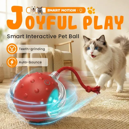 Vista 2 de Pelota de juguete interactiva para gatos de interior, conductor fuerte que rueda rápidamente en la alfombra, chirrido y activado por movimiento