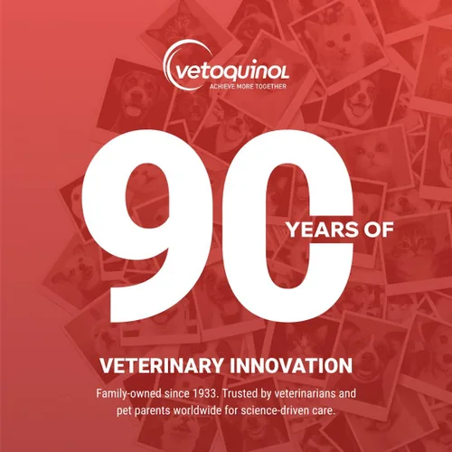 Vista 8 de Vetoquinol Azodyl - Suplemento para la salud renal para perros y gatos, 90 unidades, probiótico para el bienestar de las mascotas, ayuda a apoyar