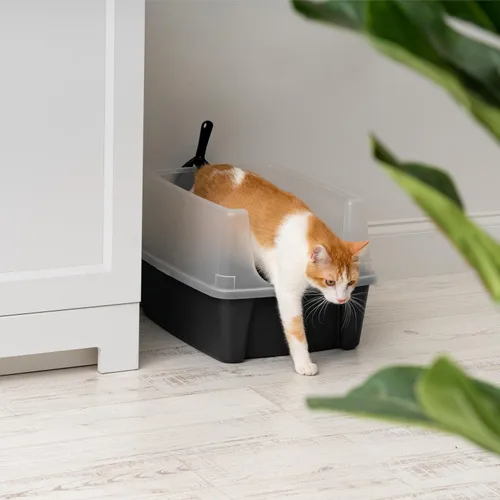 Vista 5 de IRIS USA - Caja de arena para gatos de alta cara, grande, escudo de dispersión, color negro