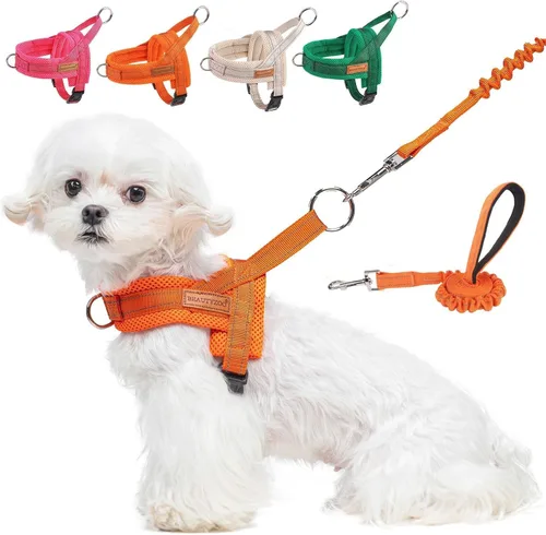 Vista 41 de BEAUTYZOO Arnés para Perros Pequeños, Juego de Arnés y Correa sin Tirones, Arnés de Pecho para Cachorros a Prueba de Escapes con Mango, Arnés Beige