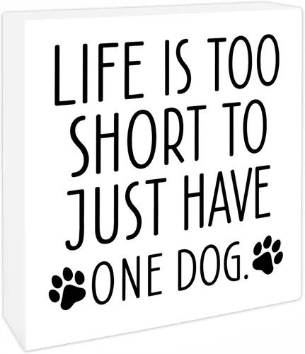 Vista 7 de 4x4 Funny Cat Wooden Block Sign, Spoiled Cats Live Here