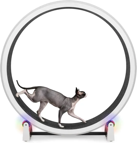 Vista 18 de One Fast Cat - Rueda de ejercicio para gatos, fabricada en los Estados Unidos, 48 pulgadas de diámetro, Gen. 7