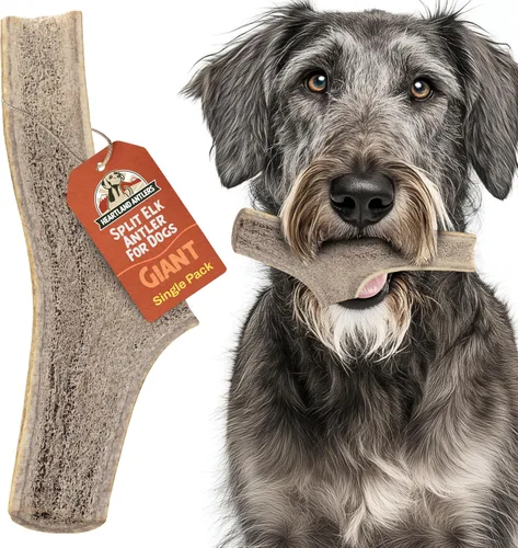 Vista 12 de Heartland - Astas de alce enteras para perros (4-5 pulgadas, paquete de 2) – Masticables dentales de larga duración e inodoros para masticadores
