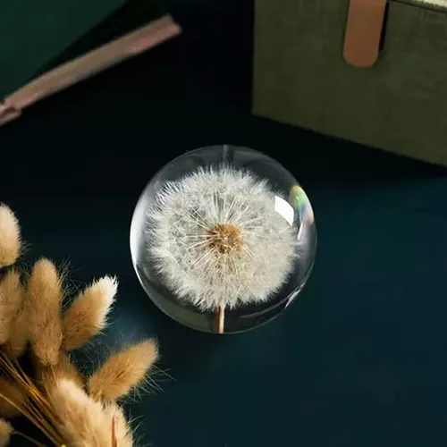 Vista 8 de DESHINTKE Bola de espécimen de diente de león real, pisapapeles, decoración de escritorio (pequeña)