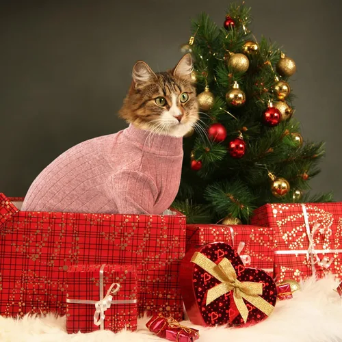 Vista 6 de Idepet Sphynx Suéter Camisa para Gatos sin Pelo Gatitos Ropa Suave para Cachorros Pullover Pijamas Lindas para Gatos Mono de Algodón Vestimenta