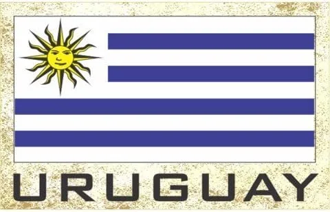 Vista 8 de Imanes para frigorífico con bandera - Americas Grp 2 (paquete de 1, País: Paraguay)
