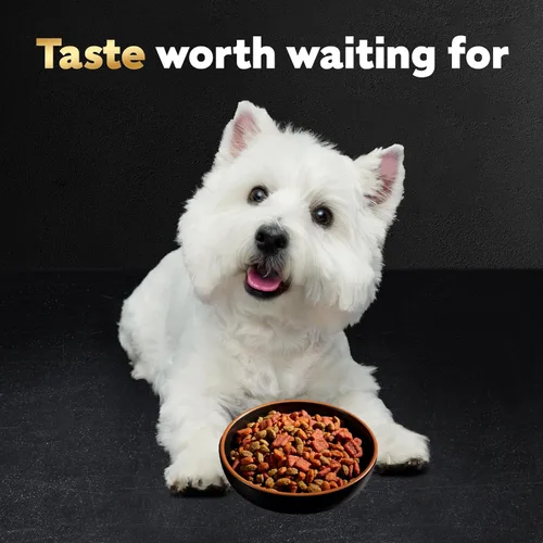 Vista 12 de Cesar Alimento seco para perros de raza pequeña para perros pequeños, sabor a pollo asado y guarnición de verduras de primavera, bolsa de 12 libras