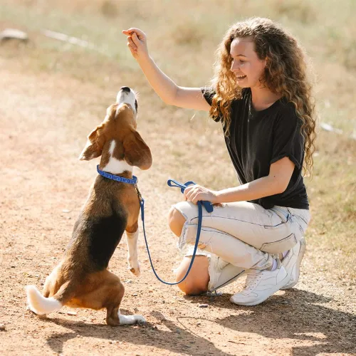 Vista 6 de Collar de entrenamiento para perros con 4 eslabones adicionales para perros medianos, grandes y extragrandes (azul)