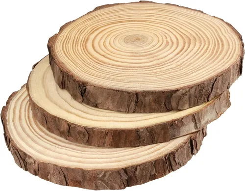 Vista 4 de JEUIHAU 6 piezas de rebanadas de madera natural sin terminar de 8 a 10 pulgadas, discos redondos de madera para corteza de árbol, círculos de madera
