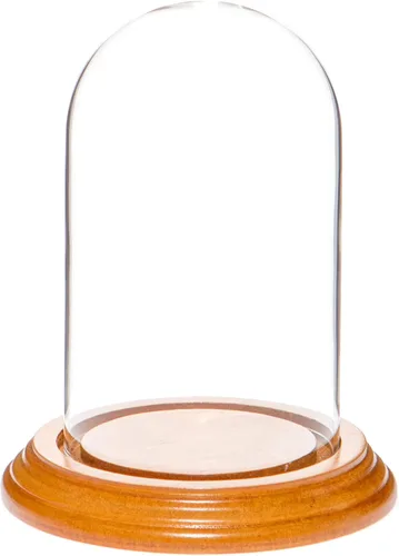 Vista 8 de Plymor Cúpula de exhibición de cristal de 3 "x 5" (base de madera MDF negra)