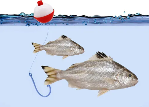 Vista 6 de 60 flotadores de pesca, bobber de pesca de ABS duro a granel, flotadores redondos de boya con botón para accesorios de aparejos de pesca, 1/1.5