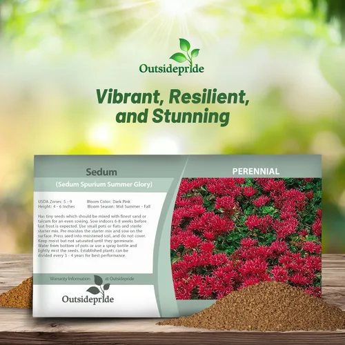 Vista 4 de Outsidepride Summer Glory Semillas Sedum - 1000 semillas perennes de cobertura del suelo para plantar, plantas suculentas resistentes al frío