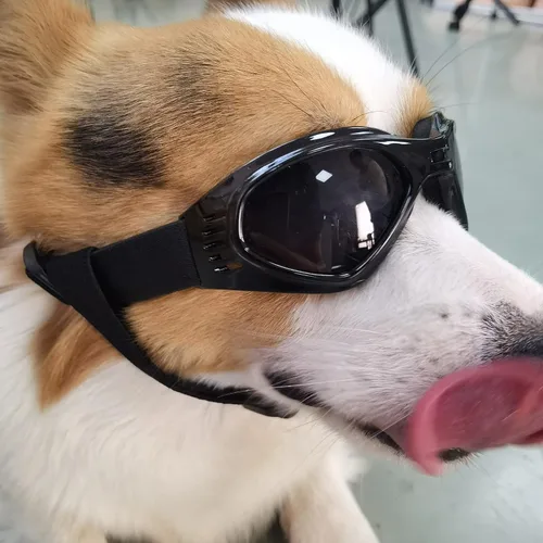Vista 2 de Gafas de sol para perros pequeños, protección UV, resistentes al viento, gafas de sol para mascotas pequeñas para protección de los ojos