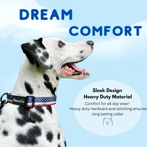 Vista 2 de ShawnCo Dream Walk - Collar de perro de alta calidad, ajustable y cómodo para perros pequeños, medianos, grandes y extra grandes