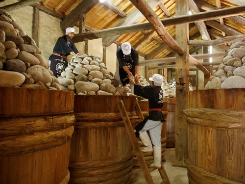 Vista 4 de [Producto de Japón] Mutenka Hatcho Miso (miso oscuro artesanal tradicional) 10.05 onzas