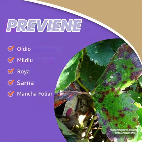 Vista 4 de Bonide Bon-Neem II RTU 32 oz