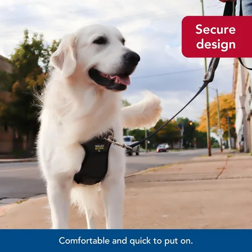 Vista 8 de Coastal Pet Walk Right - Arnés acolchado para perro con conexión frontal y sin tirones, ajustable y cómodo, ajuste para razas pequeñas y grandes