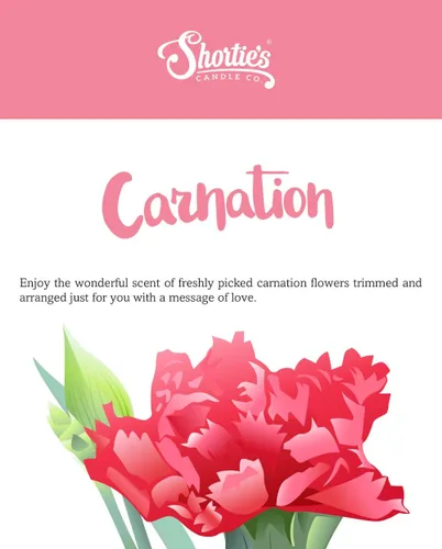Vista 6 de Shortie's Candle Company Pure Carnation Wax Melts - Paquete múltiple de 2 barras altamente perfumadas, hechas con aceites esenciales y naturales