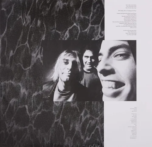 Vista 3 de Nevermind