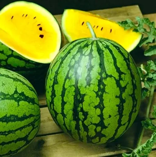 Vista 2 de Seeds Watermelon Yellow Star - Más de 20 semillas para plantar sin OMG
