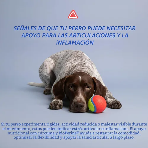 Vista 4 de Cúrcuma para perros - Antiinflamatorio natural y alivio del dolor, 120