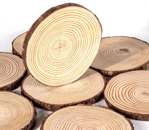 Vista 9 de Rebanadas de madera natural para centros de mesa, 8 centros de mesa de madera de 6 a 7 pulgadas para mesas, discos de madera redondos sin terminar