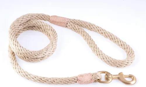 Vista 199 de Alvalley Correa para perros estilo broche – Correa de nailon estilo broche para perros – Fácil de manejar – Perfecto para perros pequeños, medianos