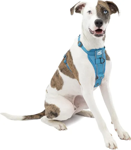 Vista 9 de Kurgo Tru-Fit - Arnés inteligente para caminar para perros, ajuste cómodo, arnés ajustable, reflectante para mascotas, liberación rápida