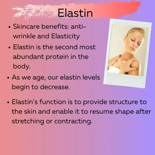 Vista 5 de Delfanti-Milano • COLÁGENO con VITAMINA C & ELASTINA • Esculpir y levantar • Crema de día antienvejecimiento • Hidratante facial y cuello • Hecho