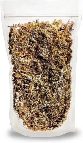 Vista 5 de Sphagnum - Mezcla para macetas de musgo para plantas carnívoras, mezcla de musgo y perlita para macetas, trampas para moscas Venus, sarracenia