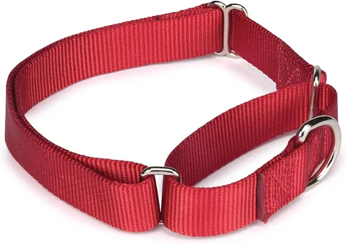 Vista 5 de Guardian Gear Collar de perro martingala de nailon, se adapta a cuellos de 10 a 16 pulgadas, color negro
