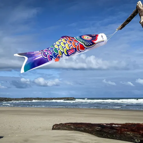 Vista 2 de In the Breeze 5048 Spectrum Koi Fishsock - Colorido arco iris Koi Fish Windsock - 24 pulgadas, 2 pies