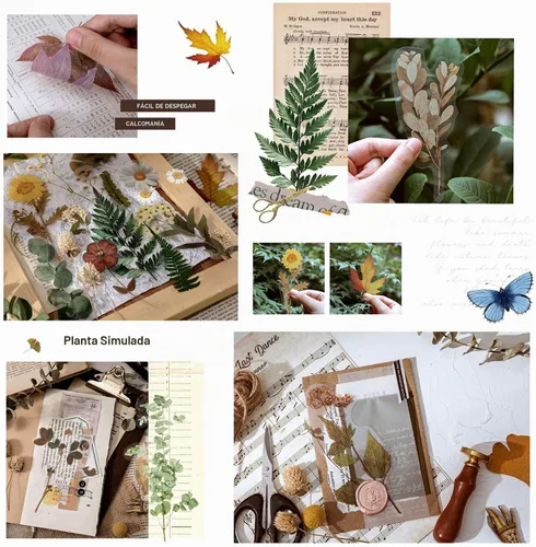 Vista 5 de Maxleaf Calcomanías de la Serie Botánica, 80 Calcomanías Grandes de Flores Secas Impermeables Transparentes, Calcomanías Florales de Plantas