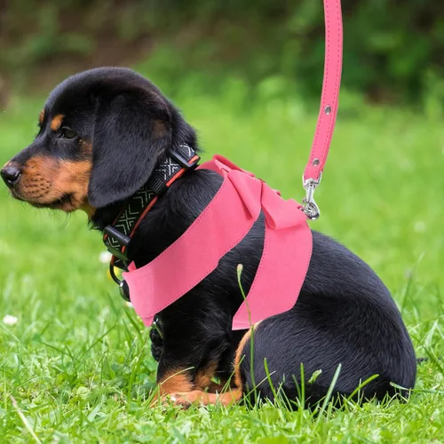 Vista 2 de POPETPOP Juego de arnés y correa de microfibra rosa para perro, XL, ajustable, sin tirones, a prueba de escape, diseño integrado, cómodo