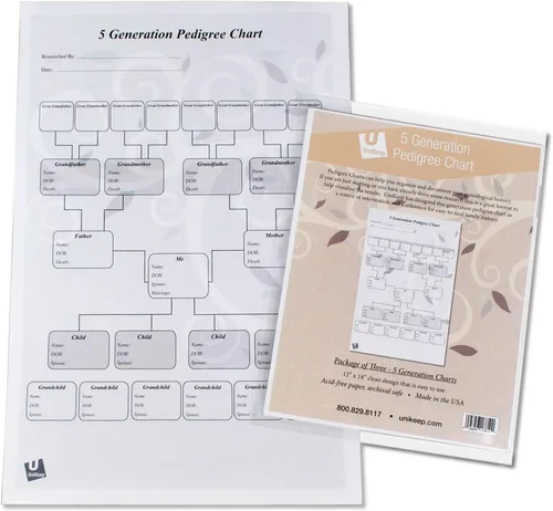 Vista 2 de UniKeep Gráficos de pedigrí para la investigación de genalogía - Papel de calidad de archivo (pedigrí de 5 generaciones)