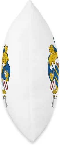 Vista 2 de Family Crest and Coat of Arms clothes and gifts Lira - Almohada con escudo familiar, 16 x 16 pulgadas, multicolor