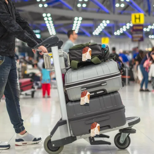 Vista 6 de Etiquetas de equipaje para maleta, paquete de 2 etiquetas de viaje de cuero sintético para equipaje de crucero con solapa de privacidad, etiqueta