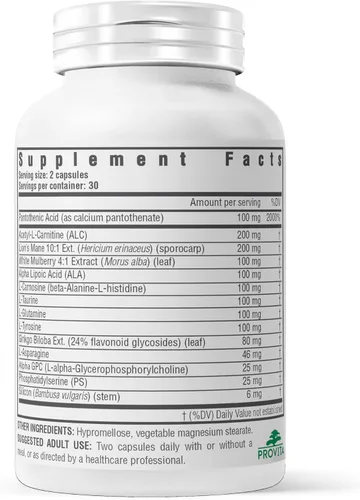 Vista 6 de PROVITA Neuro Max Suplemento de apoyo cognitivo Apoyo vegano para el nervio y la memoria Acetil L-carnitina, ginkgo biloba, melena de león