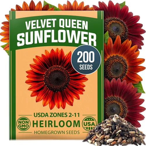 Vista 101 de HOME GROWN California Poppy Formula Mix 3000 Semillas Eschscholzia