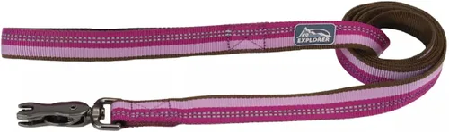 Vista 10 de Coastal Pet K9 Explorer - Correa reflectante para perro con cierre de tijera, correa de nailon duradera, correas para perros y cachorros