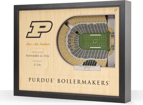 Vista 28 de YouTheFan NCAA Arte de Pared StadiumView de 25 Capas