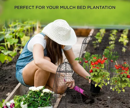 Vista 7 de boldworks Cloches de Jardín para Plantas, Jaulas de Alambre de Pollo para Proteger de Animales al Aire Libre, Extra Grandes, Resistente a