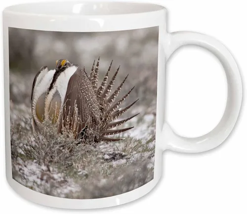 Vista 9 de 3dRose Taza de café, tamaño – 11oz – Faro de Cabo Blanco SP, Port Orford Oregon – US38 MGI0164 – Mark Gibson Lighthouses – divertido regalo de taza