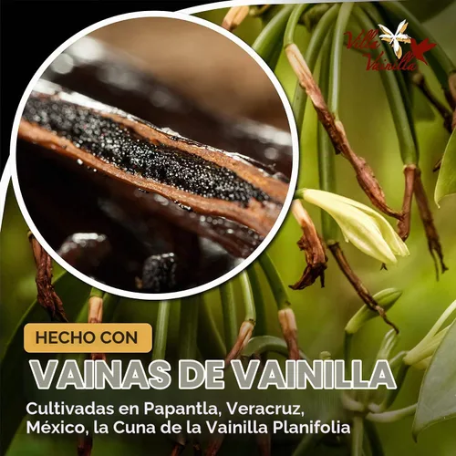 Vista 5 de Villa Vainilla Extracto de vainilla pura, Elixir Premium Mexican Vanilla Extracto de vainilla puro natural Para chefs y cocina casera Perfecto