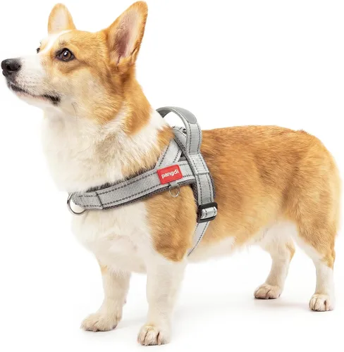 Vista 15 de Arnés para perro sin tirón con asa, chaleco reflectante ajustable Corgi, arnés para mascotas acolchado con malla de aire transpirable con clip