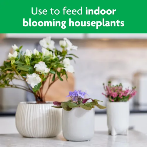 Vista 13 de Miracle-Gro Blooming Houseplant Food, 8 fl. oz. Fertilizante para plantas