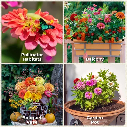 Vista 6 de Más de 16000 semillas de flores de Zinnia para mezcla de colores 2026-7+, alta tasa de germinación, perfectas para jardines, mezcla de semillas