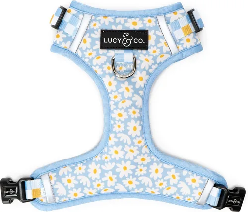 Vista 10 de Lucy & Co. The Bolt of Lightning Arnés para perro sin tirones para perros, chaleco para dejar de tirar y caminar fácilmente, cómodo producto