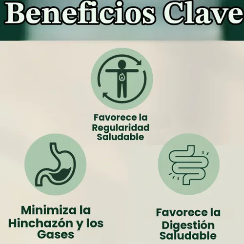 Vista 5 de Best Days Formula Soporte intestinal avanzado 5 en 1 para hinchazón, gases e irregularidad Probióticos a base de suelo + prebióticos